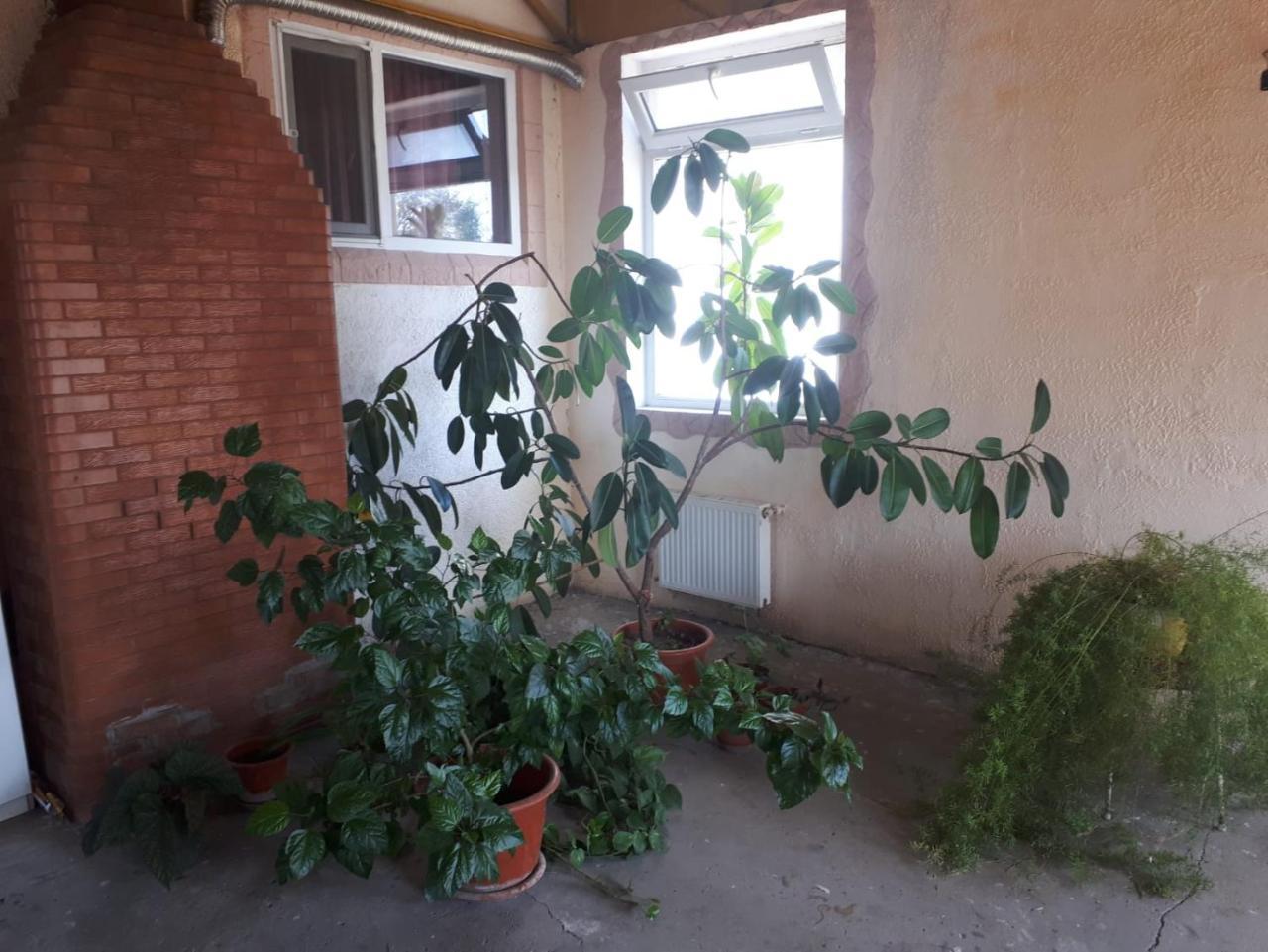 La Vitalie Guest House Kisinyov Kültér fotó